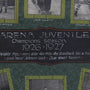 Detail of the framed vintage photo collage of the Arena Juvenile hockey team from the 1926-1927 season. The collage features individual black-and-white photographs of twelve players in their uniforms, arranged around a central plaque with the team’s name and season details. The frame is wooden with a green background and each player’s name is displayed beneath their photo.
