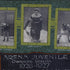 Detail of the Framed 1926–27 Arena Juvenile Hockey Champions original photo collage with vintage player portraits.