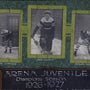 Detail of the framed vintage photo collage of the Arena Juvenile hockey team from the 1926-1927 season. The collage features individual black-and-white photographs of twelve players in their uniforms, arranged around a central plaque with the team’s name and season details. The frame is wooden with a green matt as background and each player’s name is displayed beneath their photo.