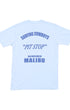 Ace Car Toddler T-Shirt Dusty Blue Back