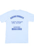 Ace Car Youth T-shirt Dusty Blue Bacl