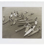 Archival Surf Photo Pier Posse Santa Monica Surf Paddleboard White Wood 