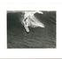 Archival Surf Photo Wood Board Down Wave Manhattan Beach OVERSIZE 30.5 x 37 Framed