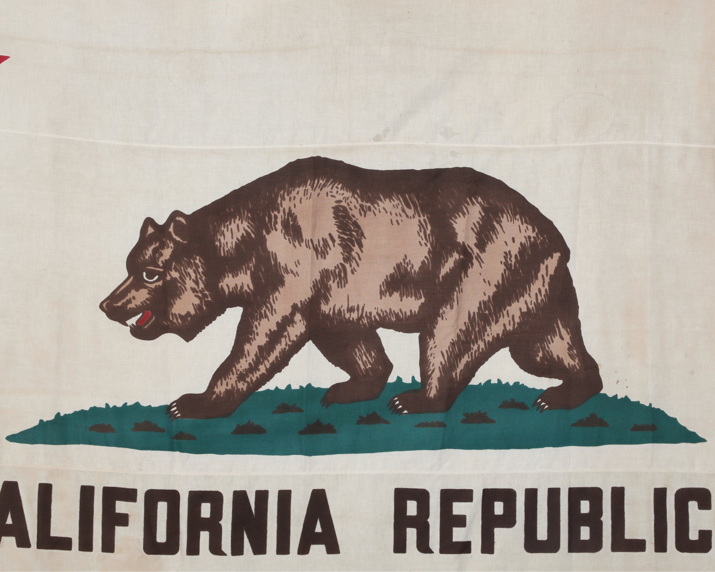 California Flag Close Up Bear