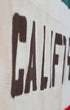 California Flag Side View