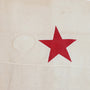 California Flag Star And Stain Close Up