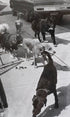 Dogs on the Prowl Photo