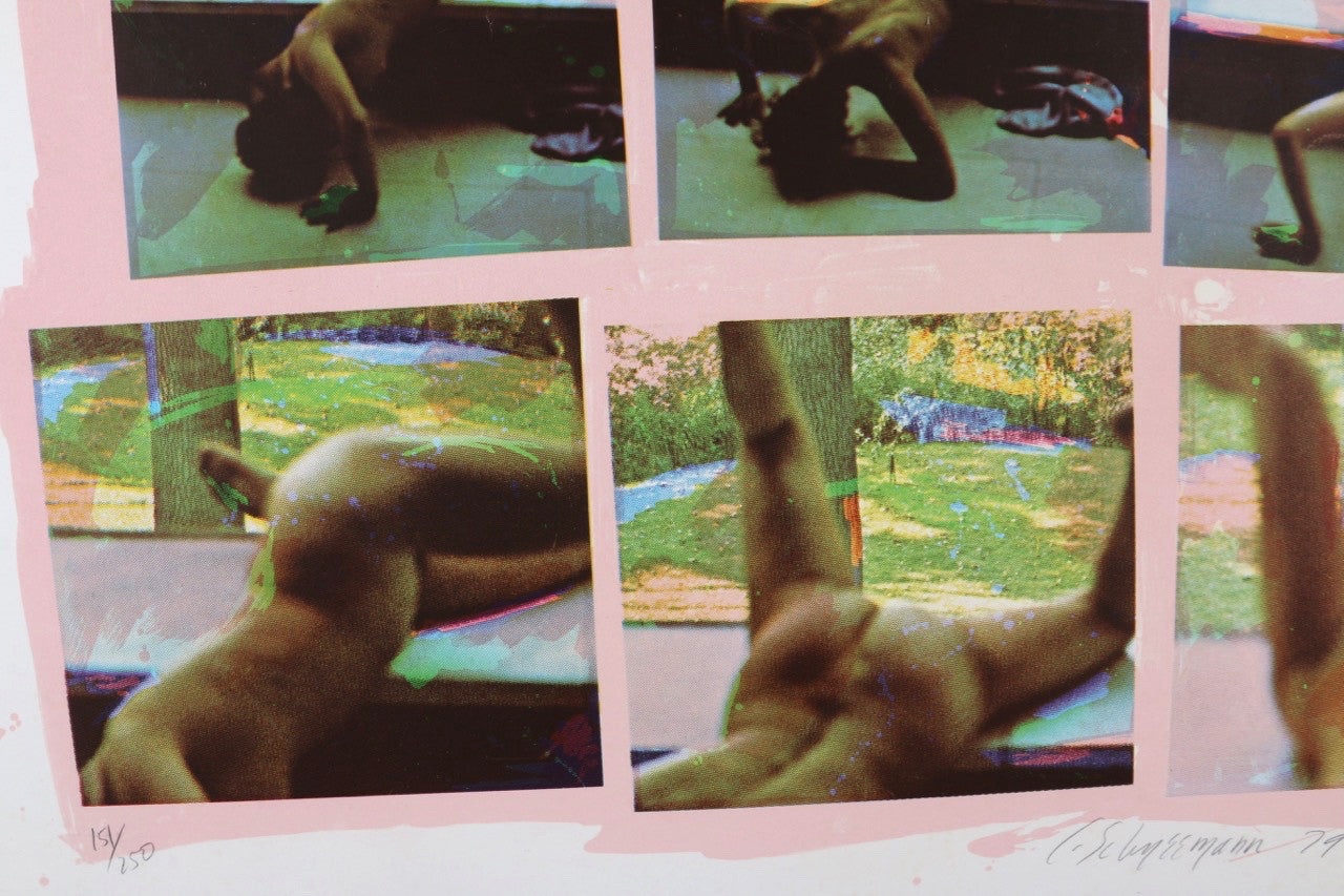 The upclose bottom left view of the Carolee Schneemann Forbidden Actions Original Photo Screen-Prints, circa 1979.