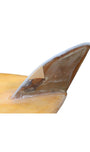 Close up of fin on Vintage balsa wood surfboard, 1950s Malibu-made by Goodart & Lamoureux