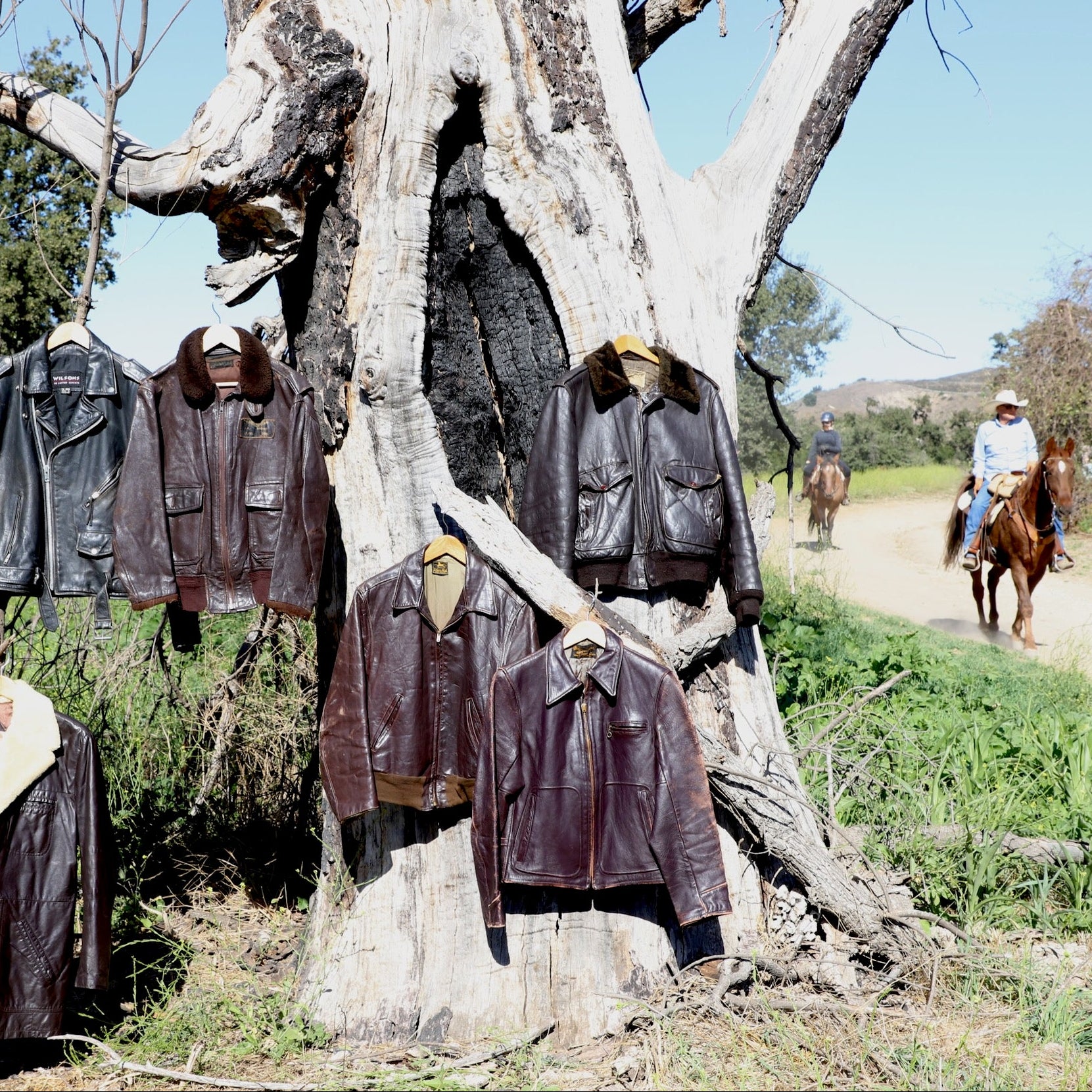 Leather jackets hanging on a tree with a person on horseback in the background
