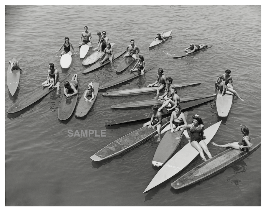 The full view of the Pier Posse Santa Monica Surf Paddleboard Photograph.