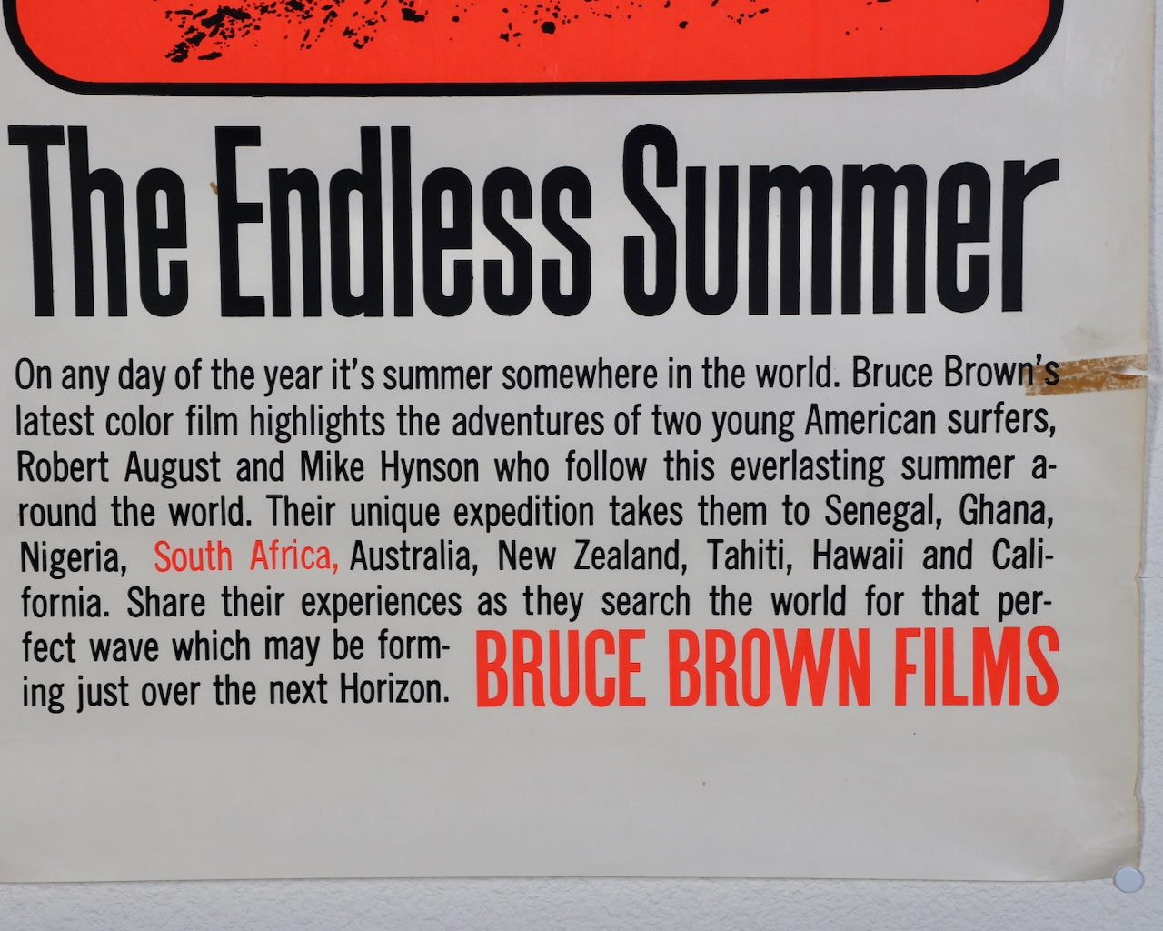 Rare Original "The Endless Summer" Film Poster Presented by John Whitmore Close Up 1