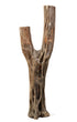  Saguaro skeleton cactus floor lamp with dual-arm design and internal lighting.