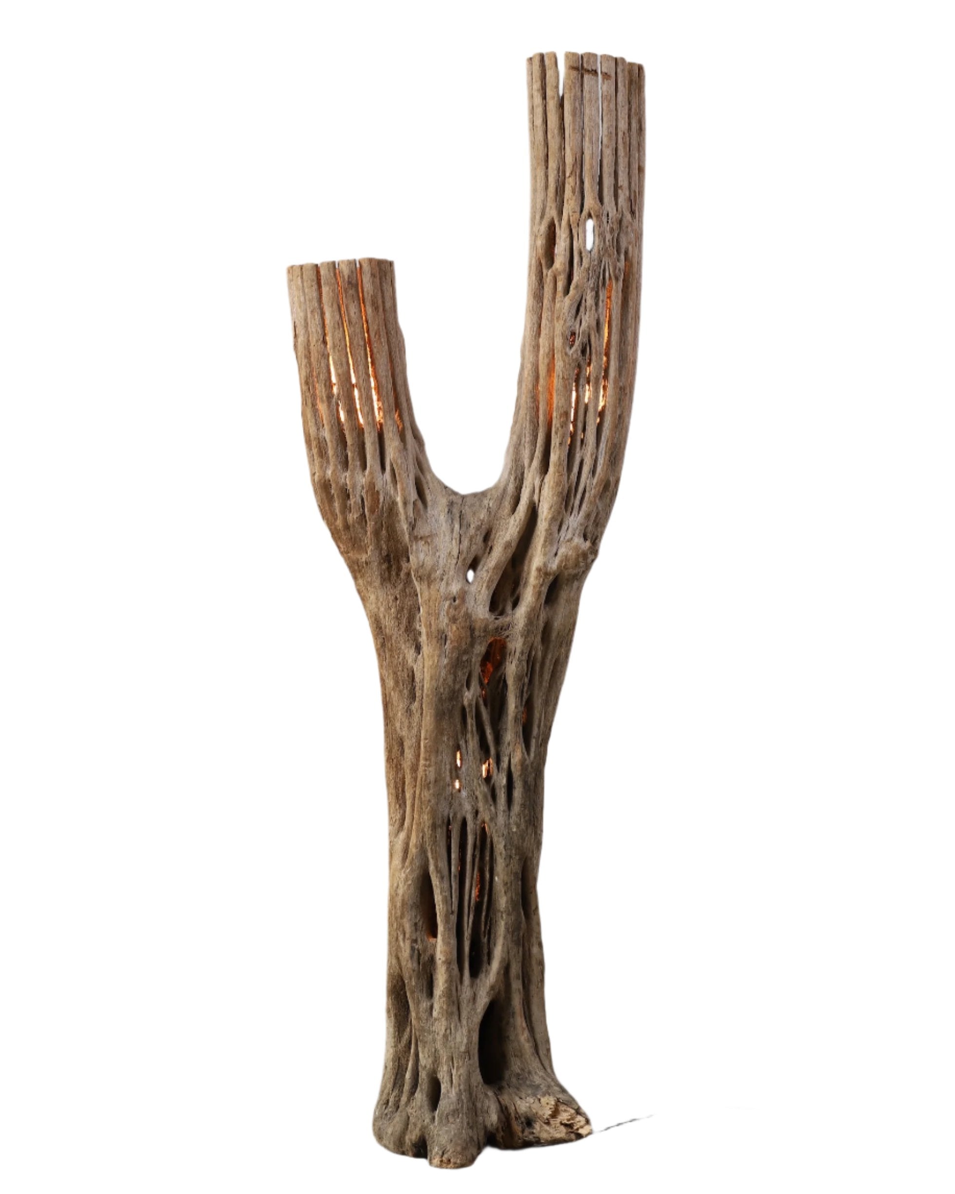  Saguaro skeleton cactus floor lamp with dual-arm design and internal lighting.