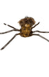 Vintage spider-faced ornament with fur and wire legs, c. 1940s.