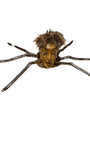 Vintage spider-faced ornament with fur and wire legs, c. 1940s.