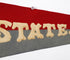 Vintage American Flag “States” Close up