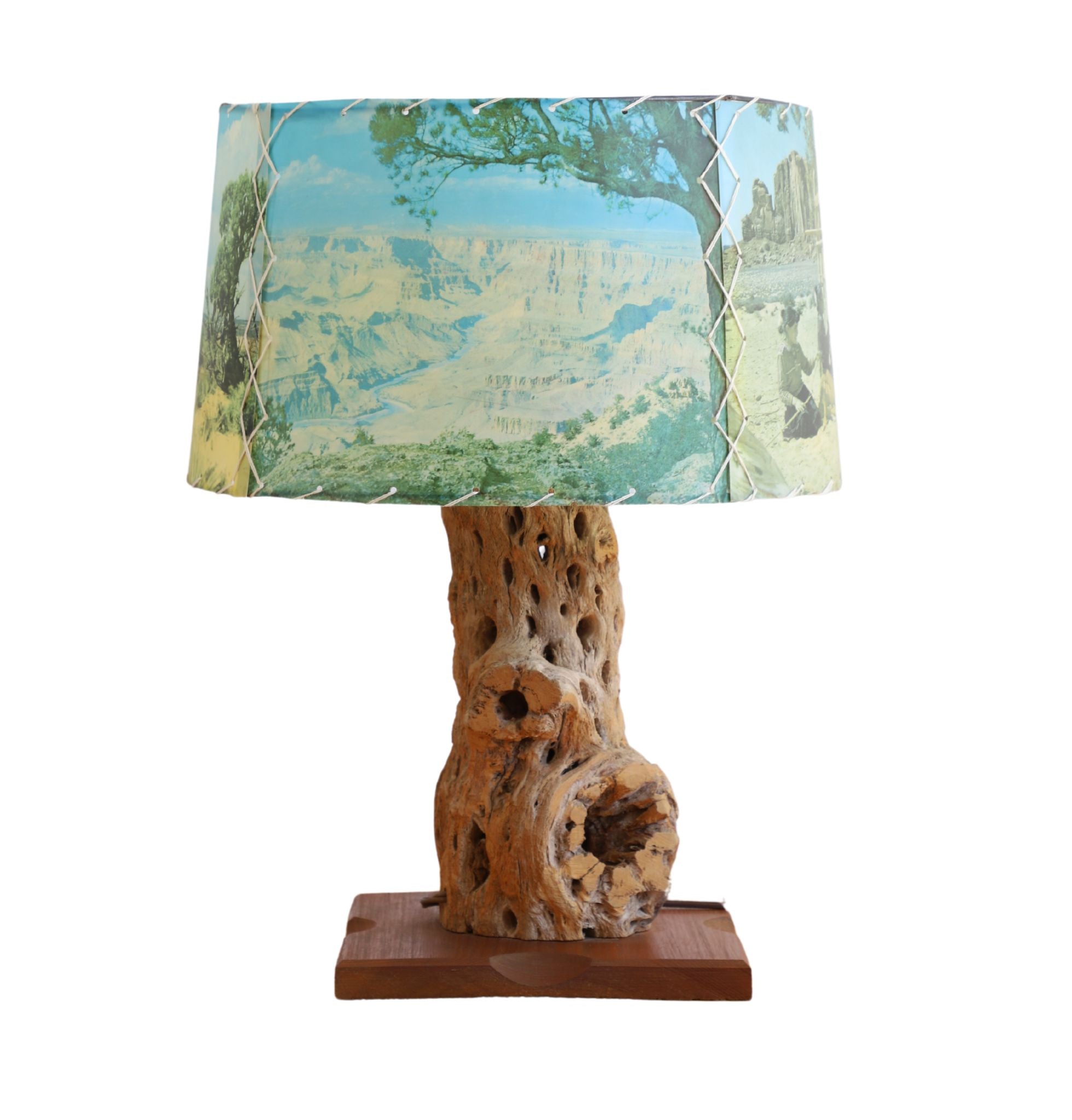 Western Lamp Cholla Cactus Wood Table Lamp with Pictorial Shade, c. 1960s