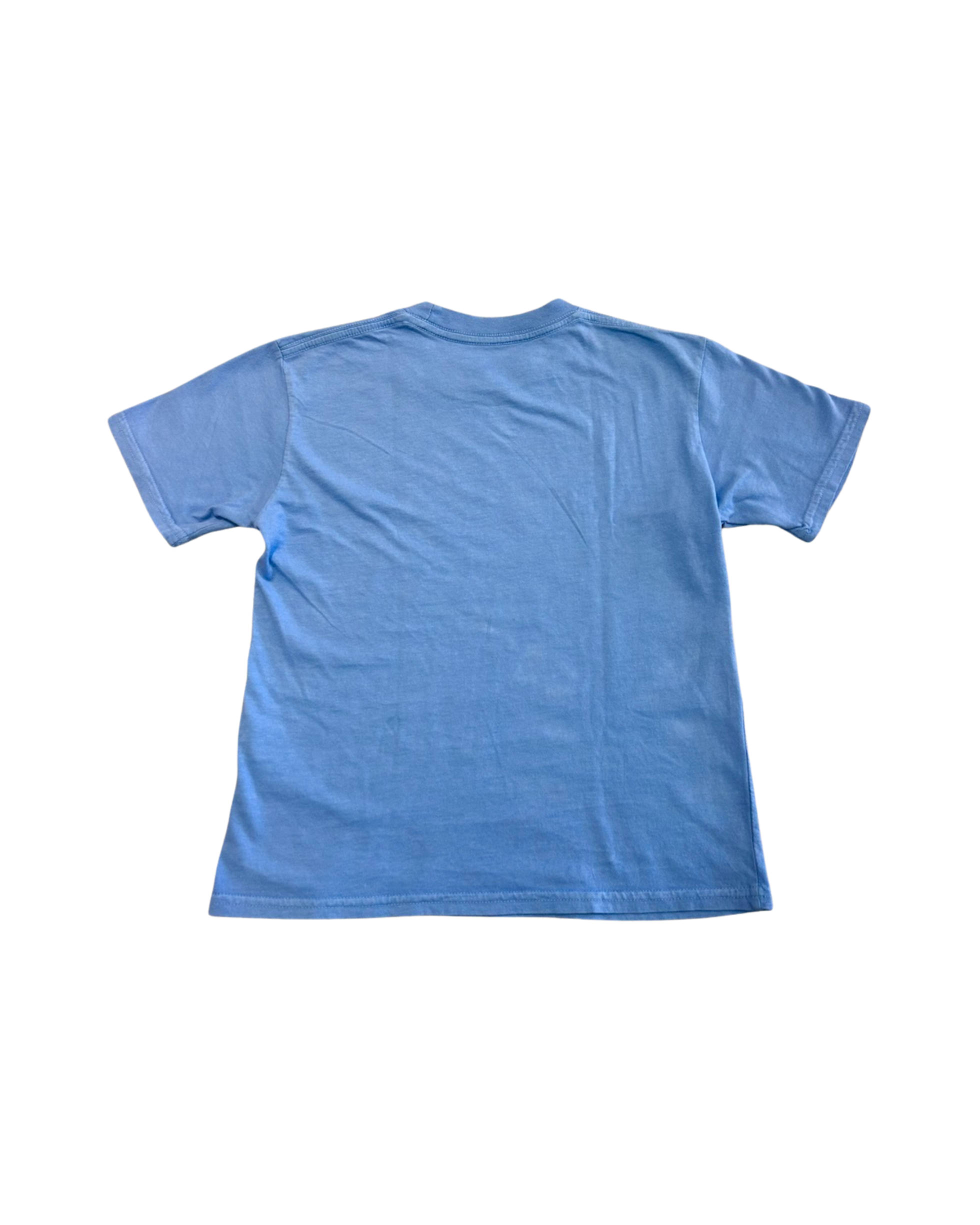 Back of a washed blue toddler T-shirt with no visible graphic.